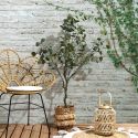 Eucalyptus artificiel en polyéthylène hauteur 130cm