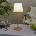 Lampe à poser led imitation bois rechargeable USB (H40cm)