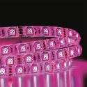 Ruban 30 Leds Multicolore Adhésif 100cm avec Télécommande