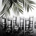 Set de 6 verres à shot en verre avec message “Conjugaison du verbe boire” (45 ml)