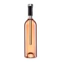 Refroidisseur de bouteille en acier inoxydable