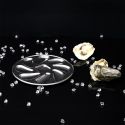 Set de 6 assiettes à huîtres en acier inoxydable argenté (8 huitres)