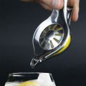 Presse à citron en acier inoxydable avec bec verseur 12cm