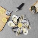 Coffret à huîtres 9 pièces en acier inoxydable