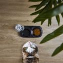 Gamelle avec distributeur d'eau pour animaux