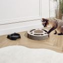 Jeu griffoir rond pour chat avec 2 balles