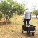 Chariot pliable transportable charge max 65kg