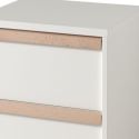 NASH WHITE - Caisson à Roulettes 2 Tiroirs Blanc et Bois