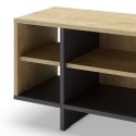 Meuble TV 1 portes 4 niches en mélaminé imitation bois et noir - ESQUISSE