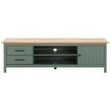 TINA - Meuble TV 1 Porte 2 Tiroirs Bois Ciré et Vert