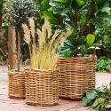 Lot de 3 paniers décoratifs en rotin naturel tressé avec anses - PRUNELLE