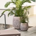Dracaena décoratif artificiel hauteur 68cm - CAENA