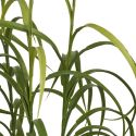 Dracaena décoratif artificiel hauteur 68cm - CAENA