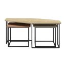 Tables basses gigogne plateaux design aspect bois, brique et vert sauge pieds métal noir - ZORIA