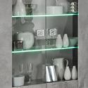 Vitrine 2 portes aspect béton ciré 2 tons avec Led - HAMPTON
