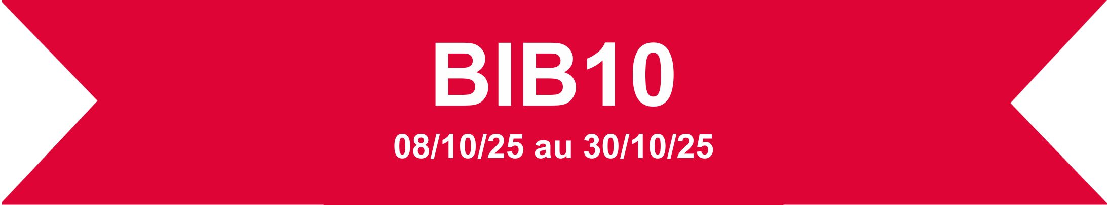 BIB10.png