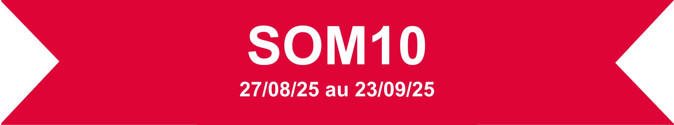 SOM10.png